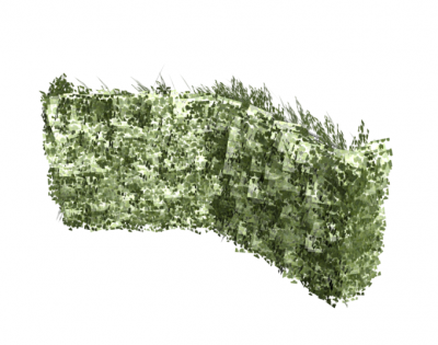 Modèle Hedgerow 3DS Max.