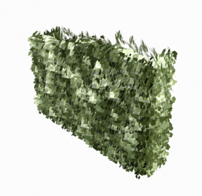 Hedgerow droit modèle 3DS Max