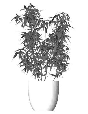 Plant Revit Family 6