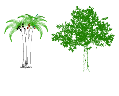 Trees (Side view)-001