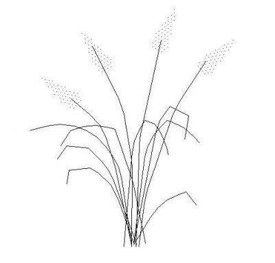 Garden - Plant - Elev 04