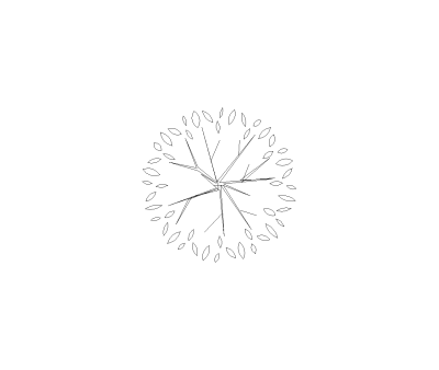 Evergreen Tree Large Style 4 Plan View CAD Block. Free DWG AutoCAD Imperial drawing available to download