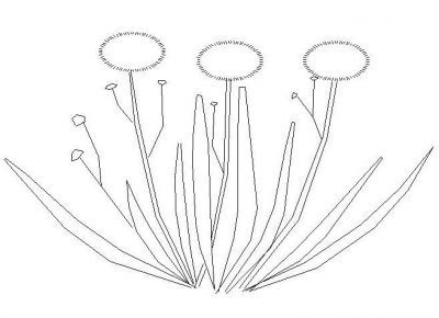 Plant Elev 06