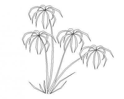 Plant Elev 08