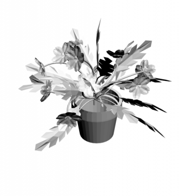 Plante en pot