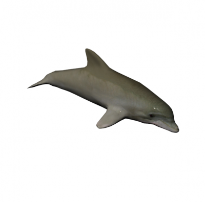 Dauphin 3D MAX BLOCK