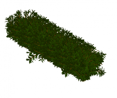 Bush Revit modèle