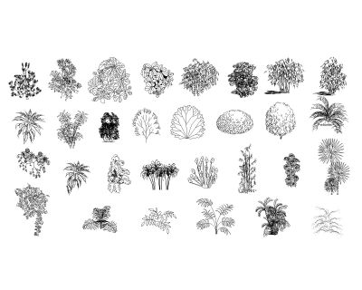 Free AutoCAD 2D Editable Drawings for Bouquet with top Views
