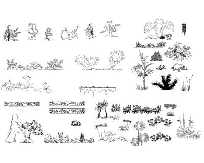 Free AutoCAD 2D Editable Drawings for Bushes & Shurbs