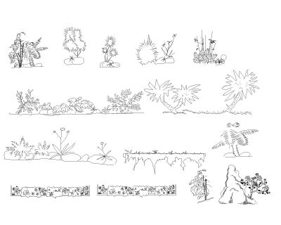 Free AutoCAD 2D Editable Drawings for Bushes & Shurbs -1