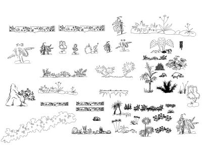 Free AutoCAD 2D Editable Drawings for Bushes & Shurbs -2
