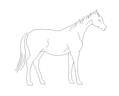 Horse elevation CAD block 