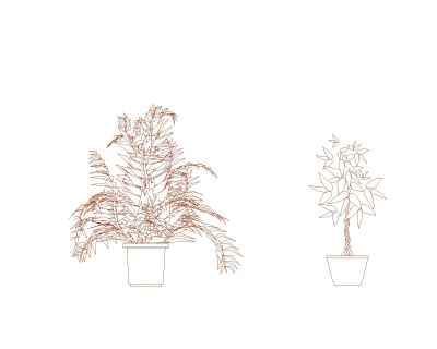 Decoration Flowers & Plants-1 CAD Block – DWG AutoCAD Editable Drawing (Free Download)