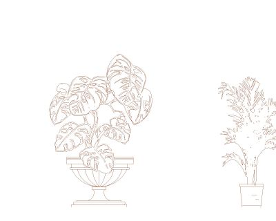 Decoration Flowers & Plants-6 CAD Block – DWG AutoCAD Editable Drawing (Free Download)
