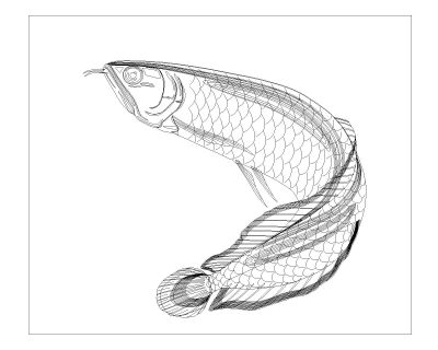 Fishes are Moving Symbols) CAD Block – DWG AutoCAD Editable Drawing (Free Download)