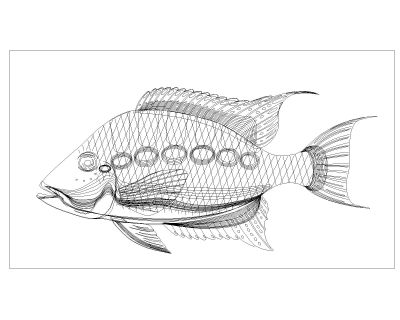 Free AutoCAD Drawing of Fishes are Moving Symbols-8
