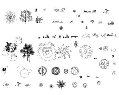 Free AutoCAD 2D Editable Drawings for Flowers & Shrubs Top & Side views