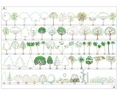 Free AutoCAD 2D Editable Drawings for Green Trees Side view for the Elevational Drawings