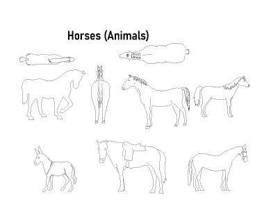 Free AutoCAD 2D Editable Drawings for Horses (Animals)