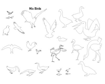 Free AutoCAD 2D Editable Drawings of Mix Birds