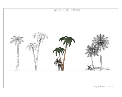 Palm Trees & Grass-3 - CAD Block DWG AutoCAD Editable Drawing (Free Download)