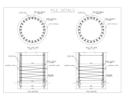 Pile Reinforcement Structural Details. CAD block in DWG format free download.