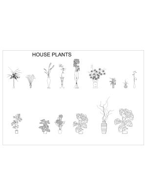 Plants & Planters symbols drawing-2. CAD block in DWG format free download.