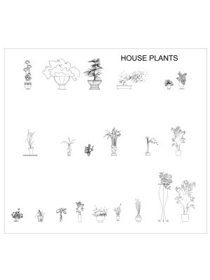 Plants & Planters symbols drawing-6. CAD block in DWG format free download.