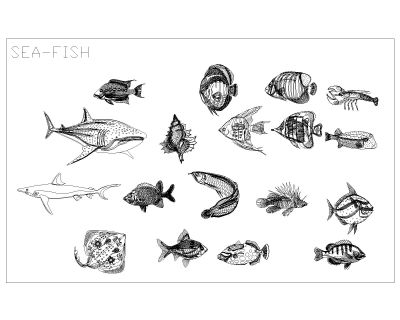 “Sea Fish Models" CAD Block. Free DWG AutoCAD drawing available to download.”