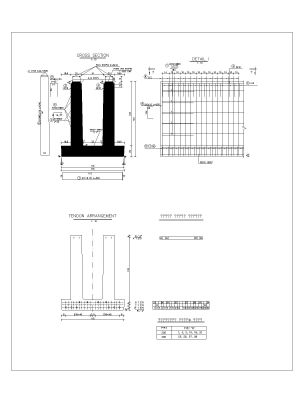 Tendon Arrangement Reinforcement drawing-1. CAD block in DWG format free download.