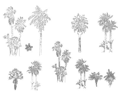 Free AutoCAD 2D Editable Drawings for Tree Elevational View