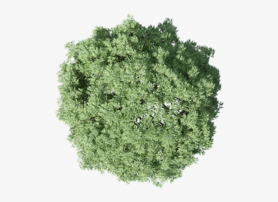  -trees-plan- dwg. 