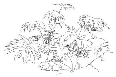 Garden - Plant - Elev 02