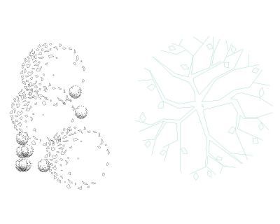2D Plant free Autocad Download