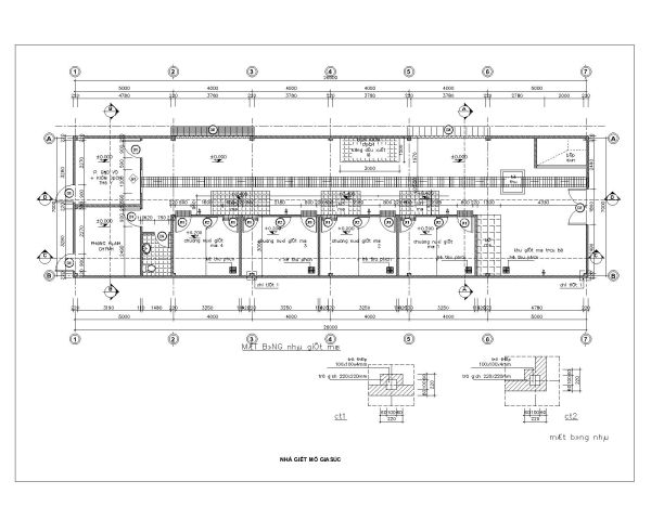 Free AutoCAD Drawing of American Standard Metal Structure High Roof Design- (1)