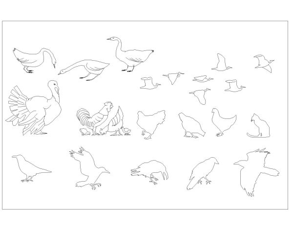Free AutoCAD 2D Birds Blocks for AutoCAD drawings