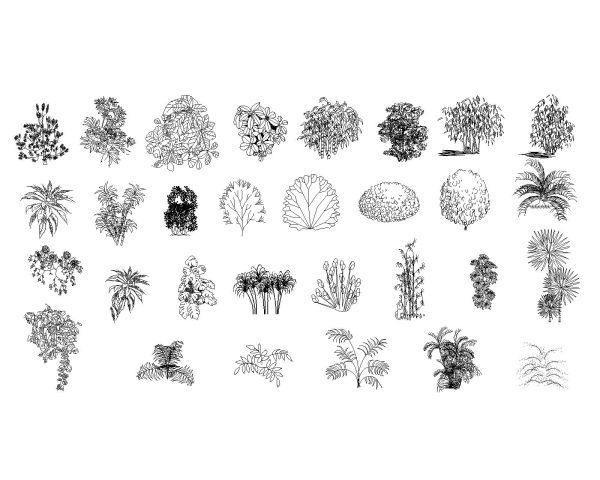 Free AutoCAD 2D Editable Drawings for Bouquet with top Views