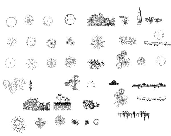 Free AutoCAD 2D Editable Drawings for Bushes & Shurbs -3