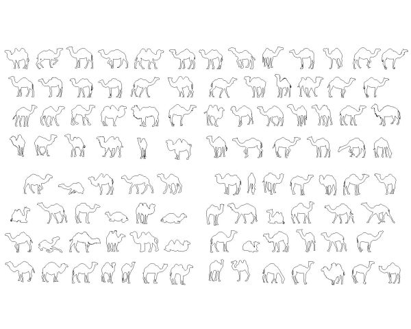 Camel Model package Architectural Drawing. CAD block in DWG format free download.