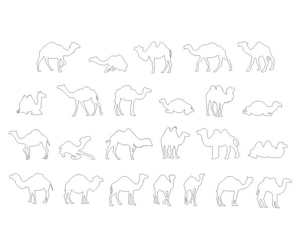 Camel Models - 1 Architectural Drawing. CAD block in DWG format free download.