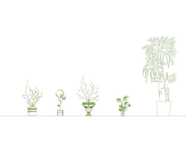 Decoration Flowers & Plants-10 CAD Block – DWG AutoCAD Editable Drawing (Free Download)
