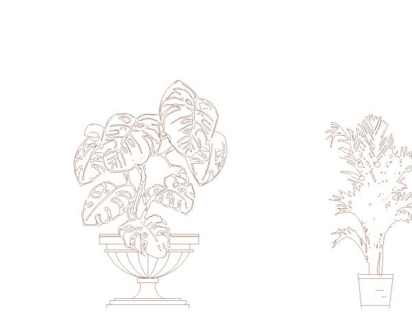 Decoration Flowers & Plants-6 CAD Block – DWG AutoCAD Editable Drawing (Free Download)