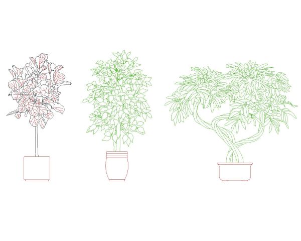 Green Indoor_tree-Model CAD Block – DWG AutoCAD Editable Drawing (Free Download)