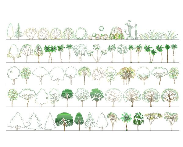 Green Trees & Plants Different Types with Side Views CAD Block – DWG AutoCAD Editable Drawing (Free Download)
