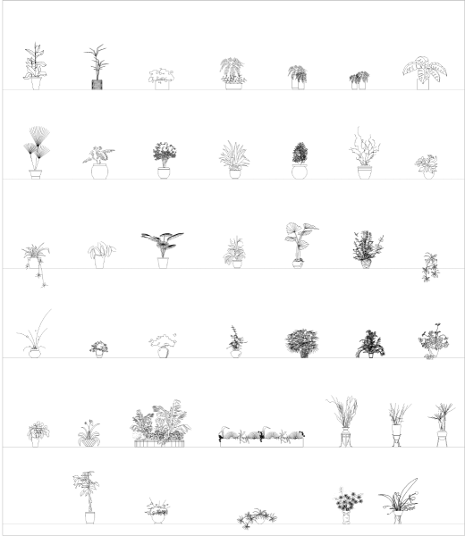 Indoor potted plants elevations CAD collection dwg
