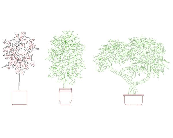 indoor_tree-Model – CAD Block – DWG AutoCAD Editable Drawing (Free Download)