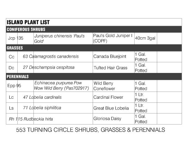 Island landscape Plaza Plant List-3 CAD Block – DWG AutoCAD Editable Drawing (Free Download)