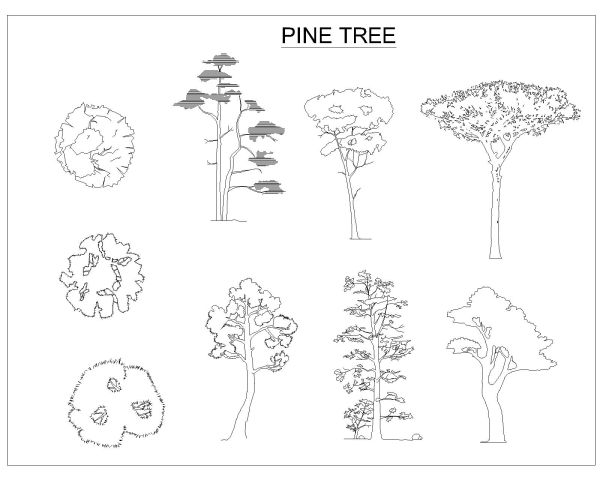 pine_tree-Model CAD Block DWG AutoCAD Editable Drawing (Free Download)