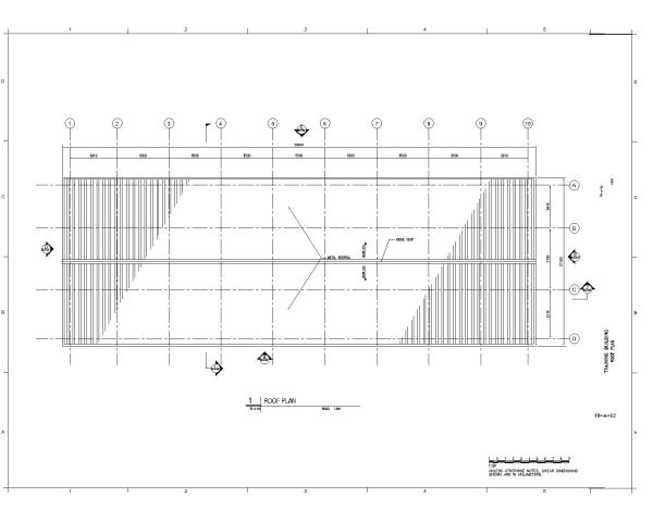 TRAINING BUILDING Roofing Plan. CAD block in DWG format free download.