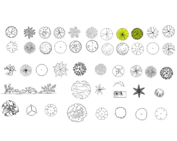 Free AutoCAD 2D Editable Drawings for Trees & Plants - 2